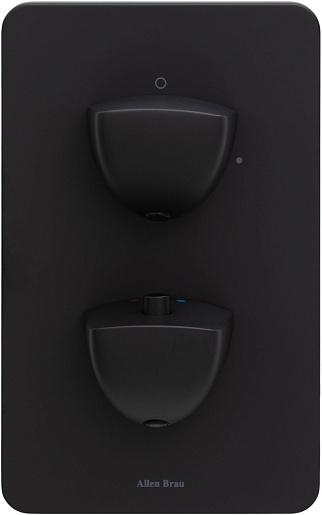 Allen Brau Смеситель для душа Infinity 5.21116-31 (с внутренней частью, 1 выход) черный матовый – картинка-3